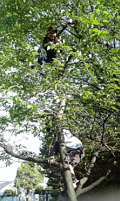 f0177670_20535832.jpg
