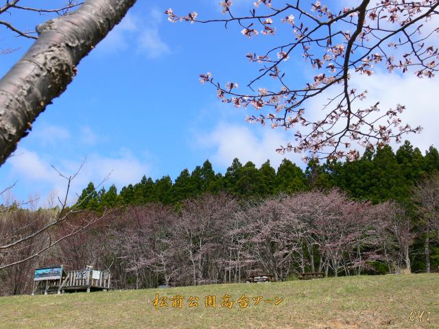 f0166871_1402389.jpg