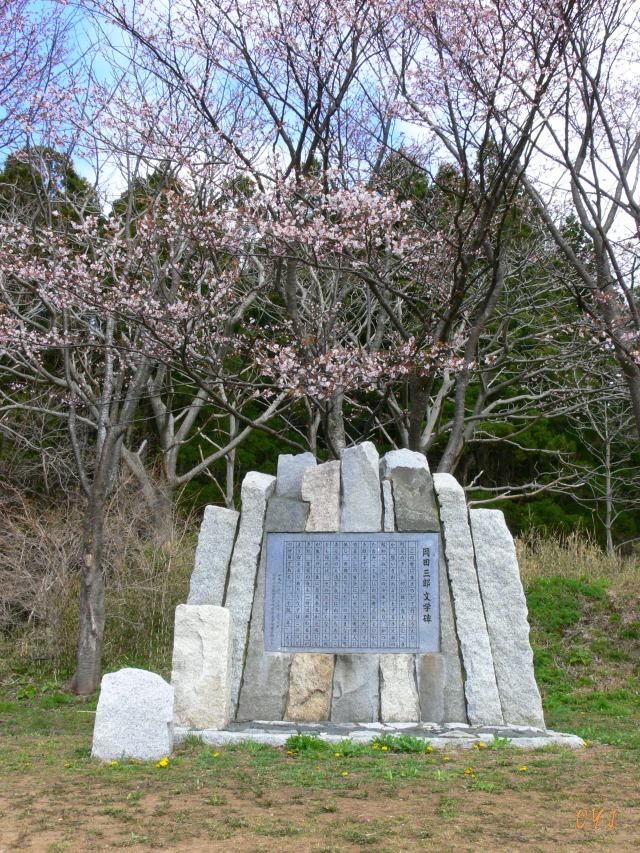 f0166871_1405970.jpg