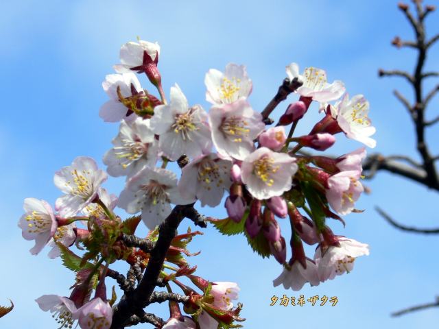 f0166871_1432100.jpg