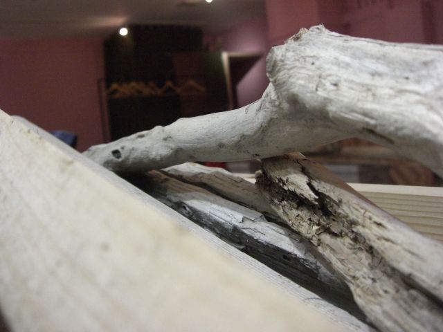 e0129272_23185253.jpg