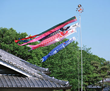 d0142773_2355526.jpg