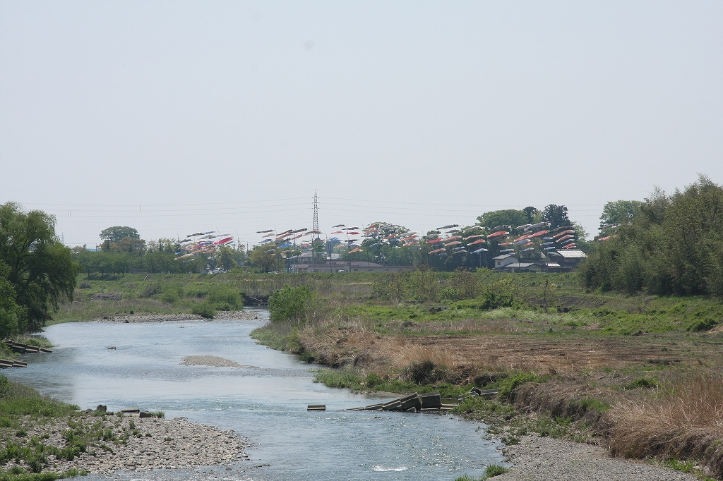 c0196076_23161599.jpg