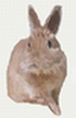e0174980_16104980.jpg