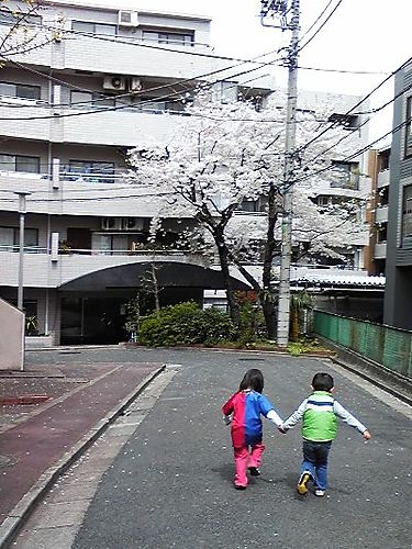 c0012888_0112784.jpg