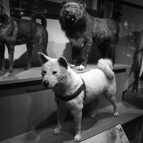 d0066488_12552255.jpg