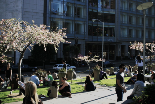 f0093592_11424895.jpg