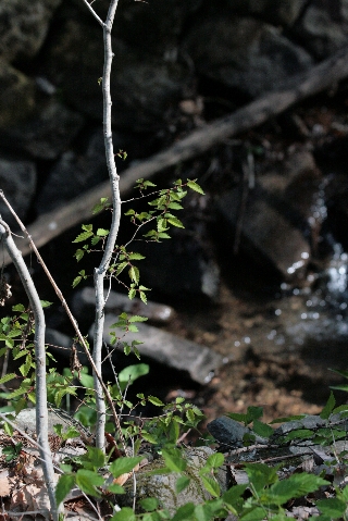 d0133693_21495890.jpg
