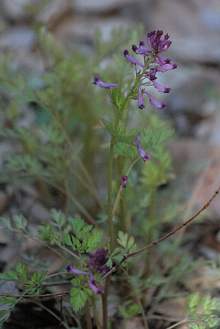 d0133693_215165.jpg