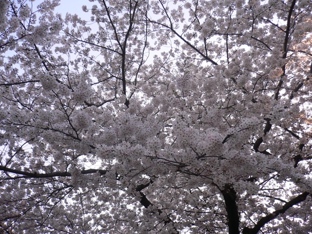 e0126594_21305487.jpg