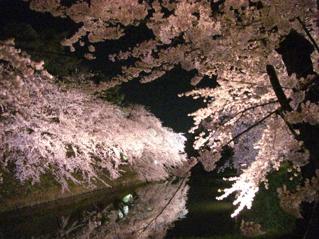 e0050801_1263576.jpg