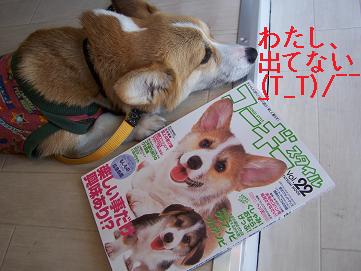 c0126703_1452561.jpg