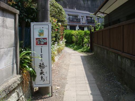 b0139906_1375978.jpg