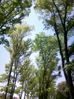 c0032006_20424012.jpg