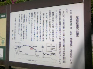 c0032006_20453335.jpg