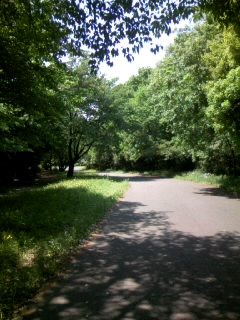 c0032006_20595529.jpg