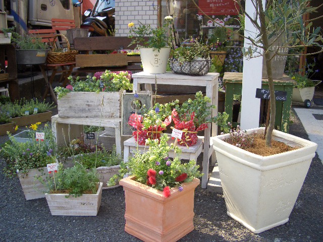 e0128909_2026188.jpg