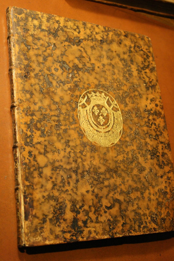 d0070113_1946265.jpg