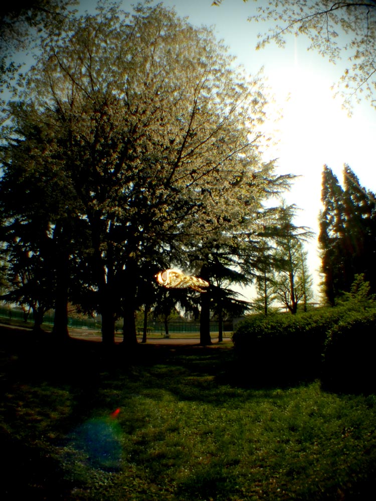 c0145418_16314571.jpg