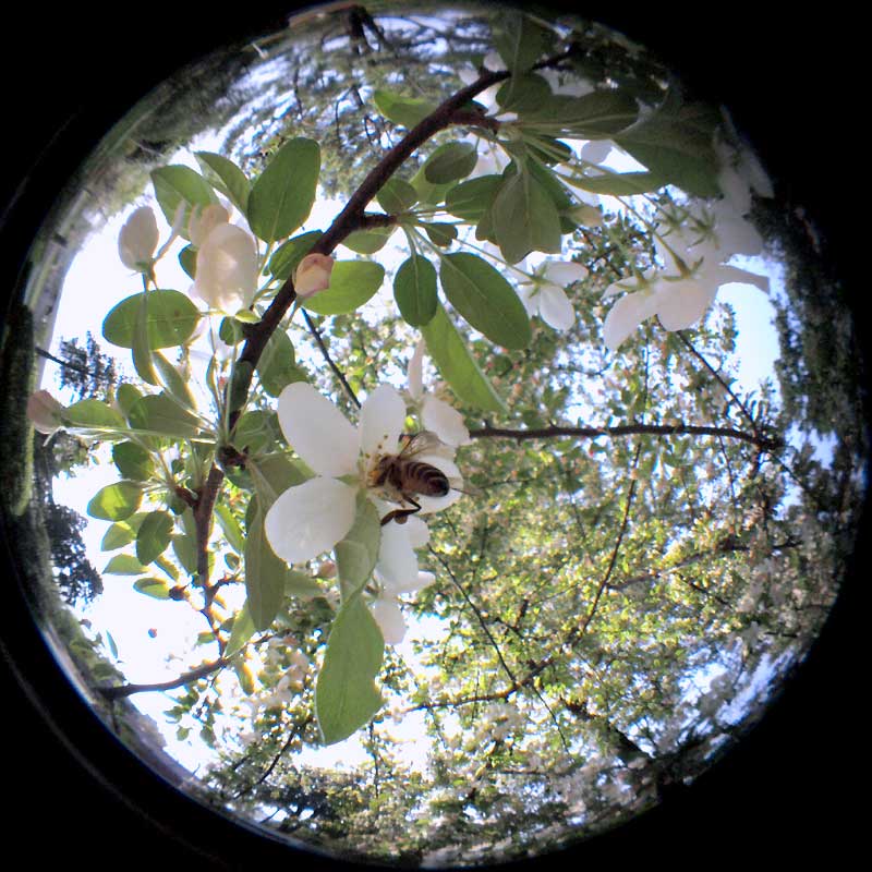 c0145418_16362580.jpg