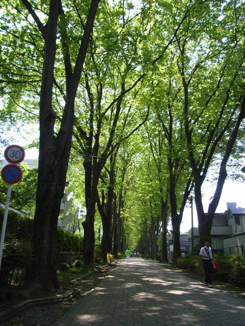 e0049318_0135044.jpg