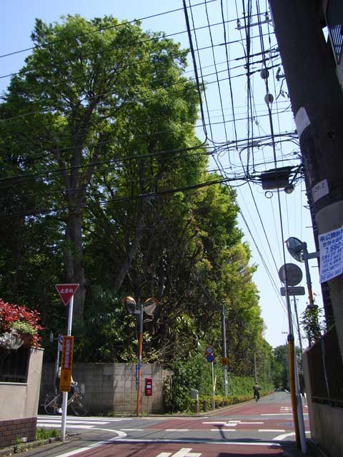 e0049318_0141033.jpg
