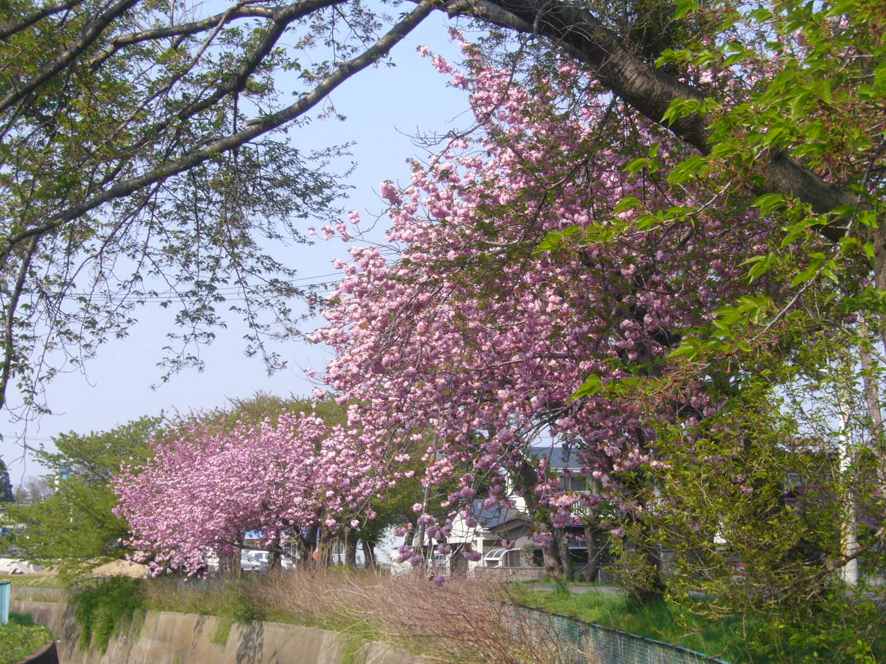 f0135021_16421586.jpg