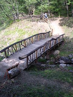 b0102023_2022718.jpg