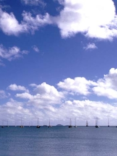 b0175226_16142015.jpg