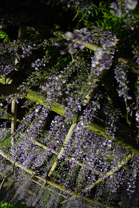 e0162726_0275852.jpg