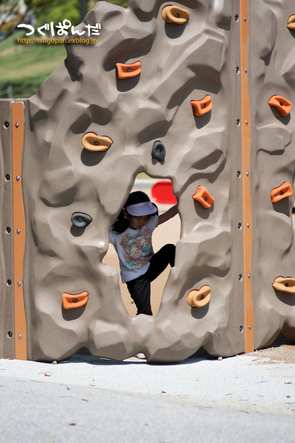 f0153628_22301790.jpg
