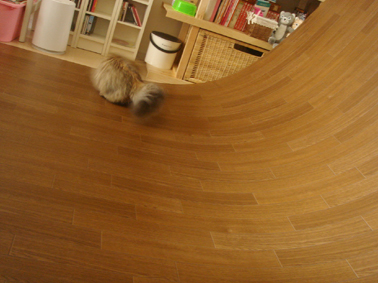 e0157129_165328.jpg