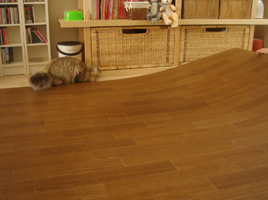 e0157129_1663542.jpg