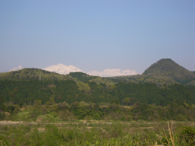 a0119132_17411695.jpg