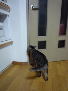 c0125532_20361484.jpg