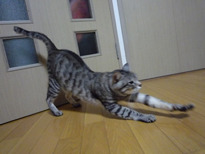 c0125532_20364173.jpg