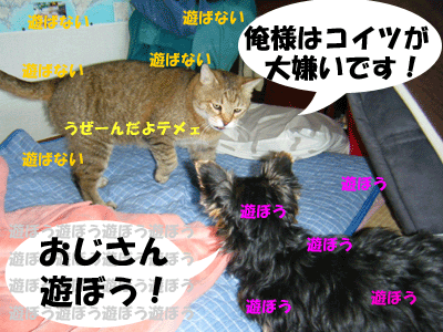 f0008935_13411483.gif