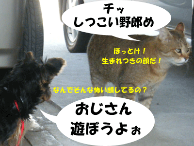 f0008935_13412381.gif
