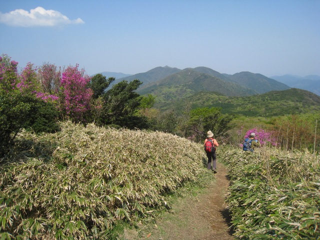 c0077338_712989.jpg