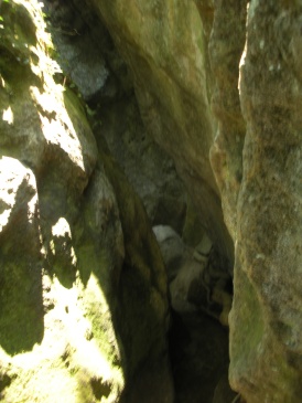 e0149340_1354588.jpg
