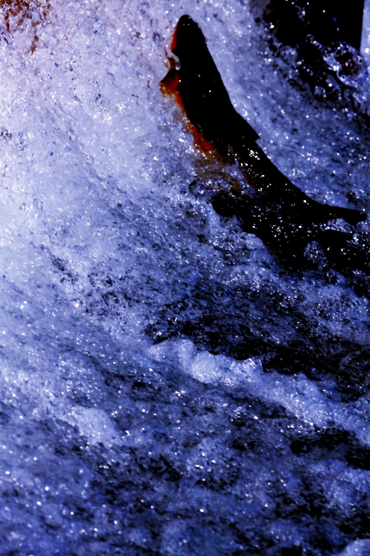d0152341_2347498.jpg