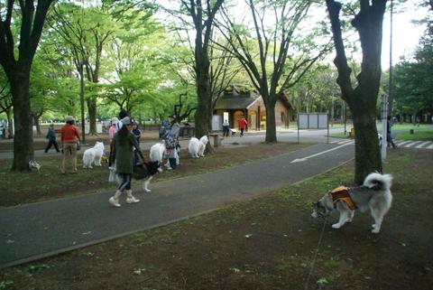 e0143442_19461229.jpg