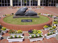 e0067043_20502215.jpg