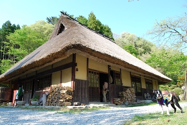 e0126046_20341440.jpg