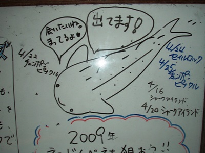 e0027447_15456.jpg