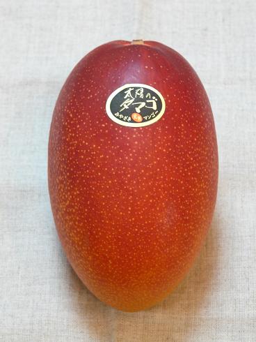 e0130347_14522299.jpg