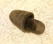 e0150849_15405018.jpg