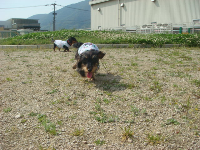 e0169149_18514494.jpg