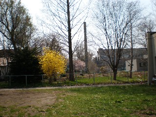 d0006253_21424052.jpg