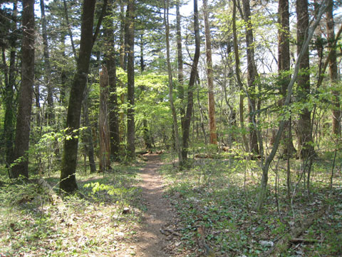 c0116856_20201519.jpg